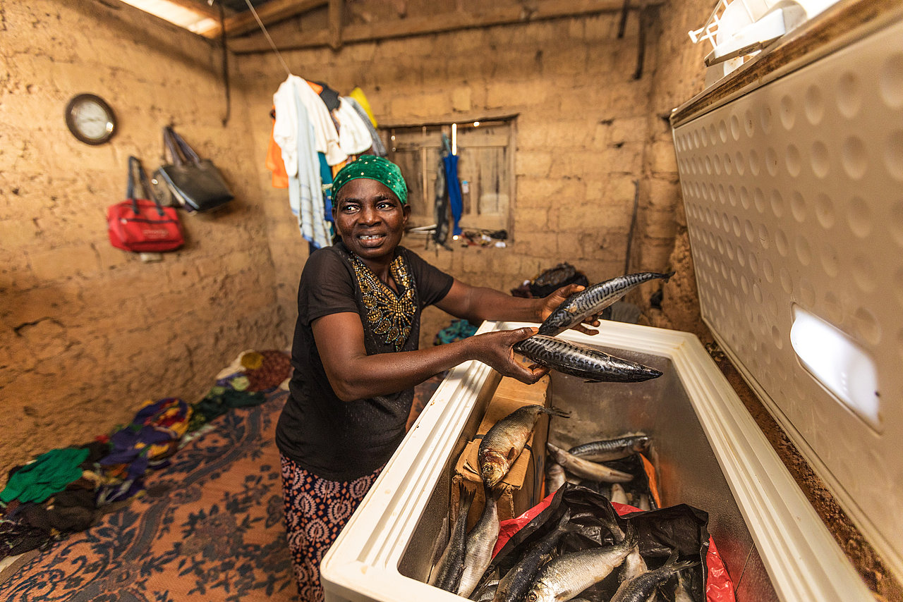 Photo: GIZ: Our work worldwide, Project Nigeria, fish seller Adebisi Esho