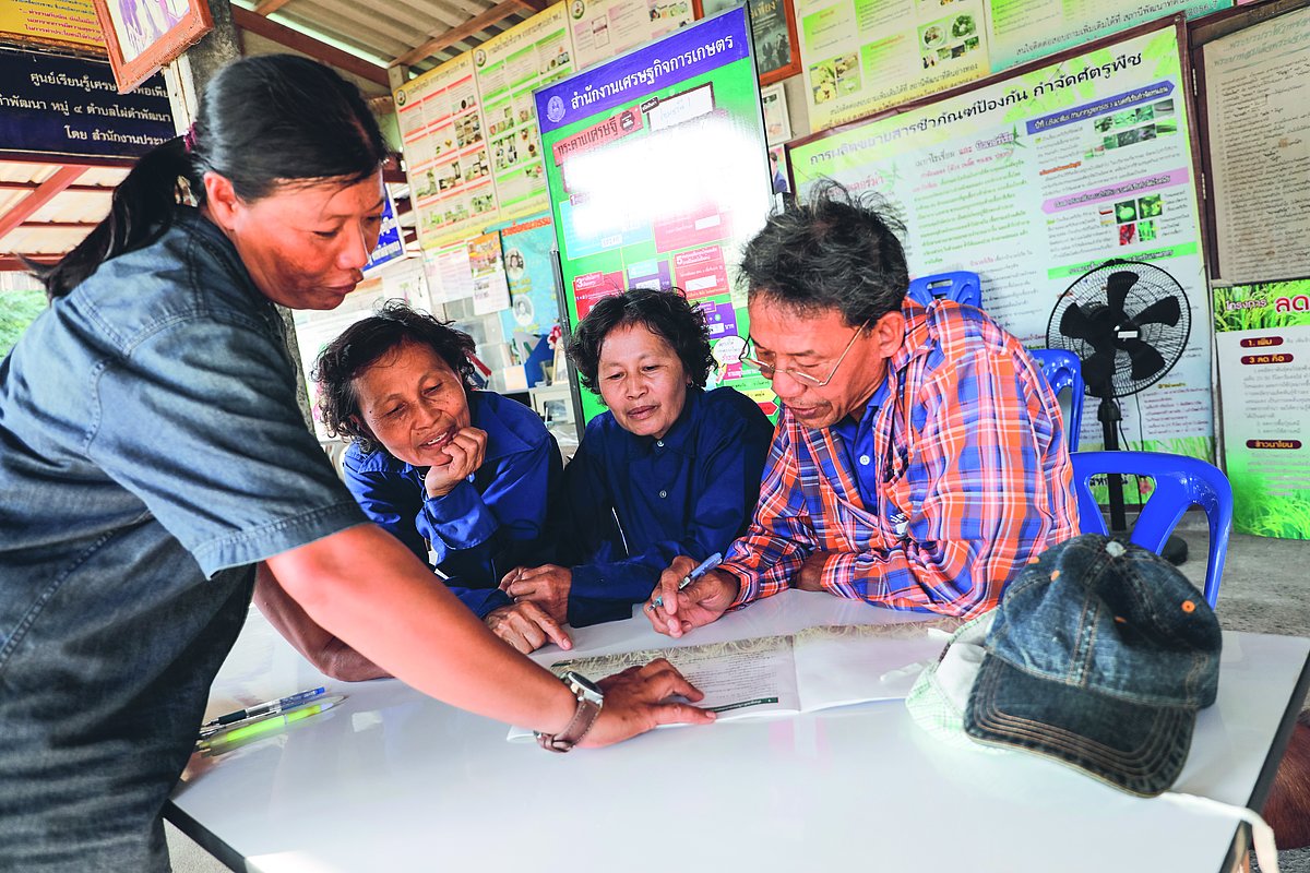 Photo: GIZ: Conversion to sustainable rice cultivation 4