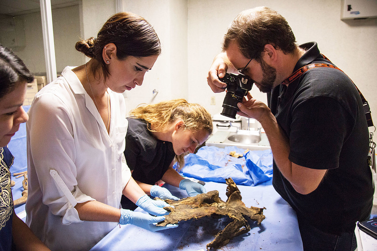 Photo: GIZ: Our work worldwide, Project Mexico, Forensic doctors*in Guadalupe de la Peña