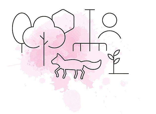 Graphic: GIZ: 229,000 sq km of forest preserved through sustainable management