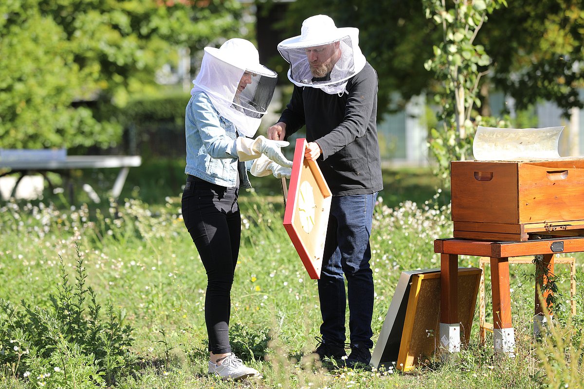 Photo: GIZ: staff at a bee-keeping initiative