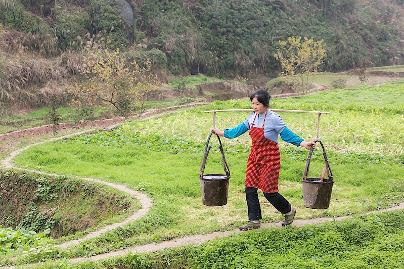 Photo: A woman carrying two full buckets on a rod resting on her shoulders.