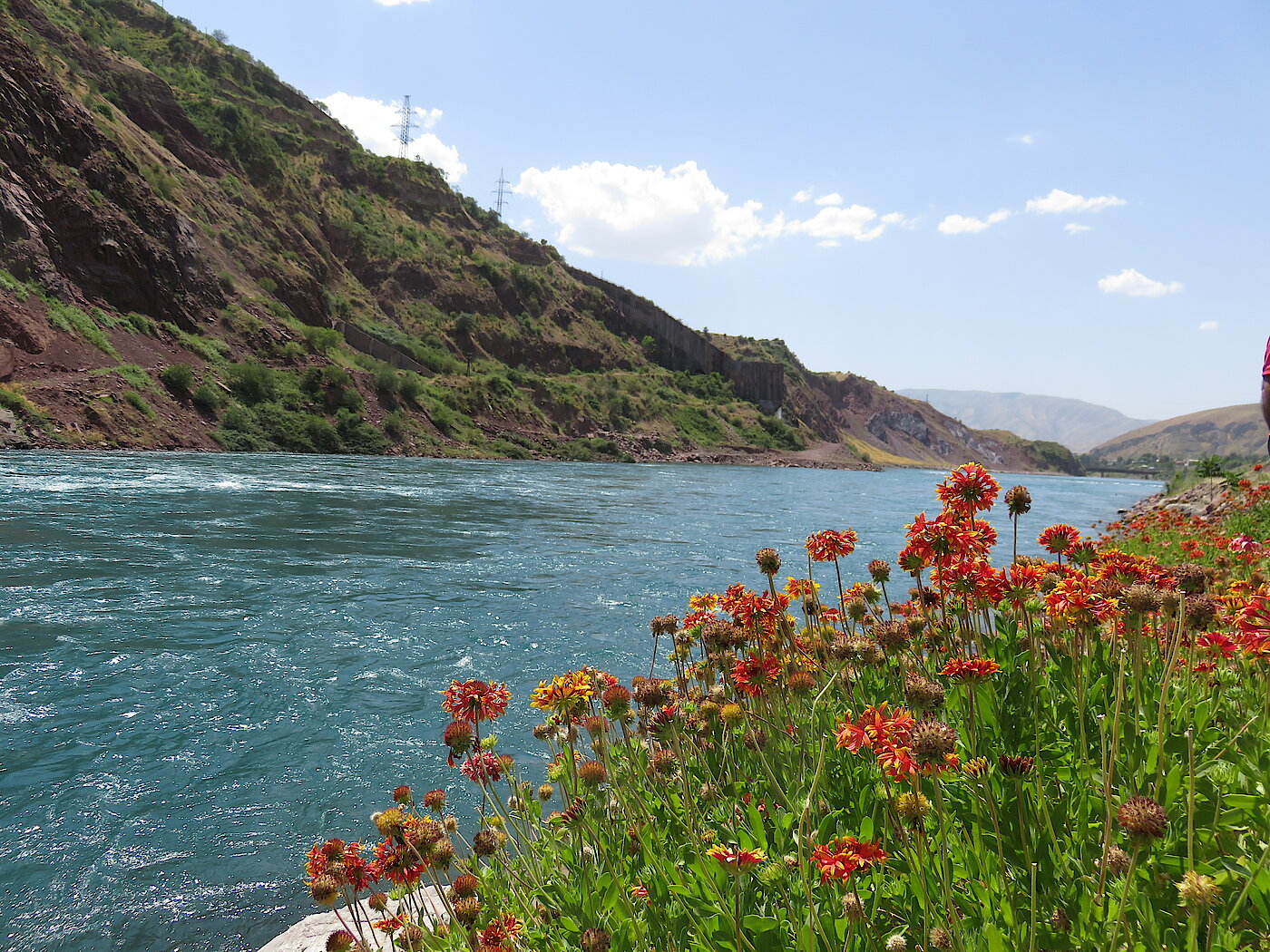 Photo: View of a river with flowers on the bank and hills.