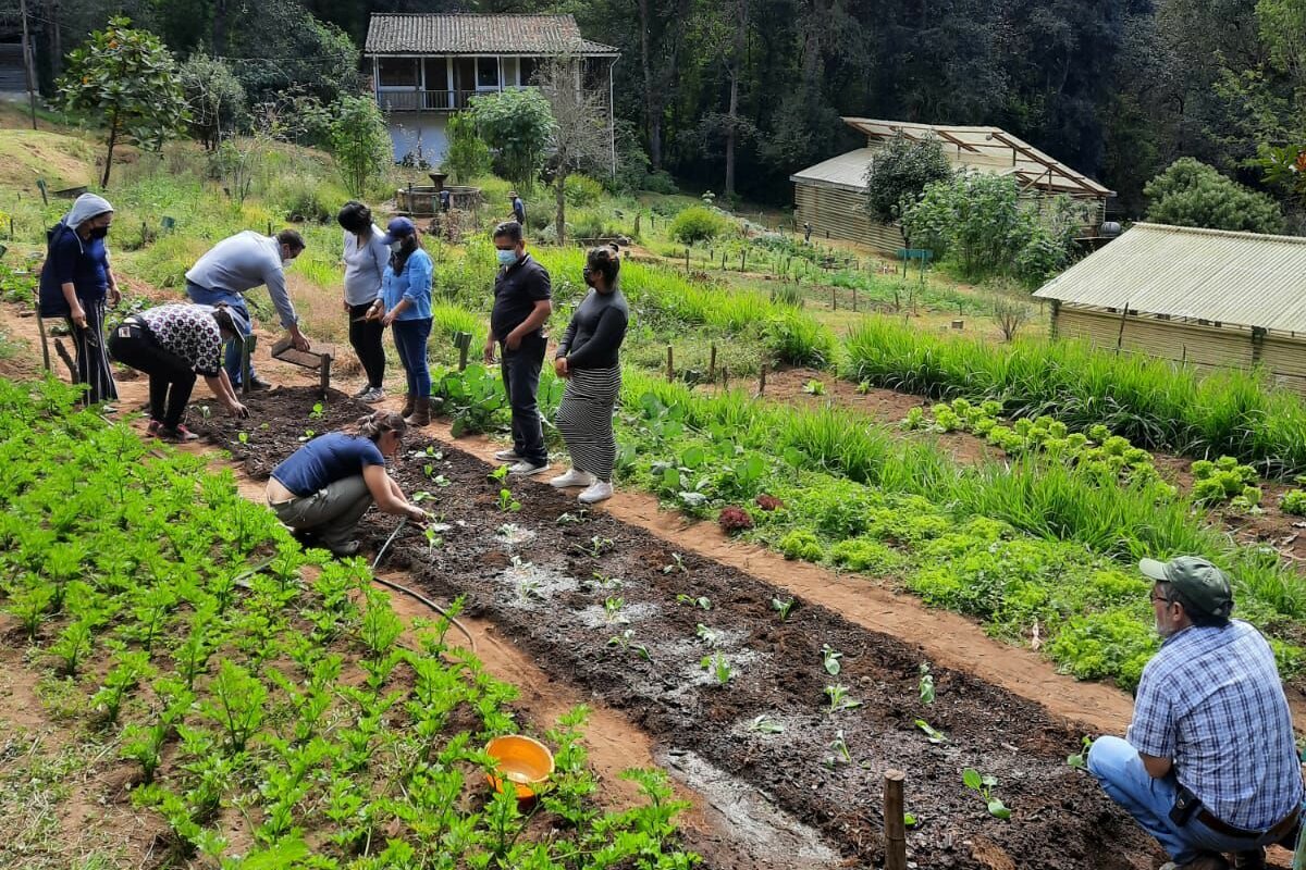 Photo: Several people standing around a plant bed with young plants. Two are planting while the others watch.
