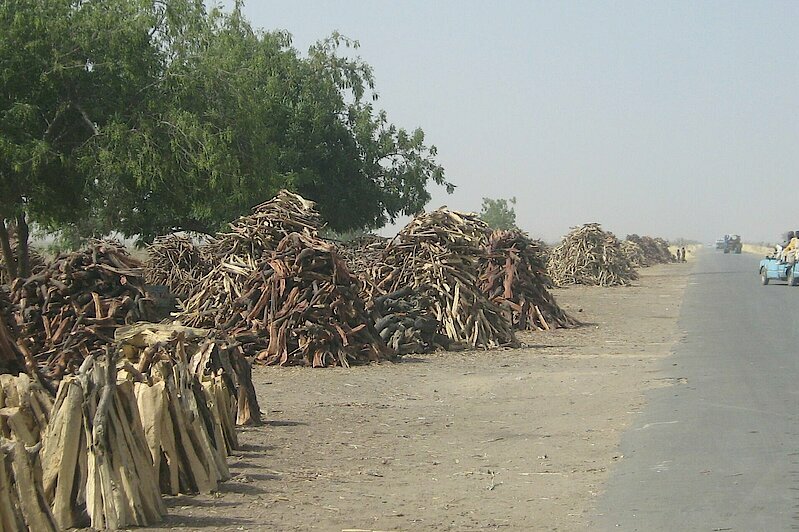 Photo: Several piles of wood lying next to a road.