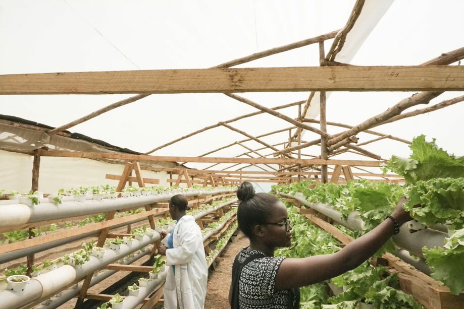 Photo: Two women in a greenhouse looking after plants growing out of holes in tubes.