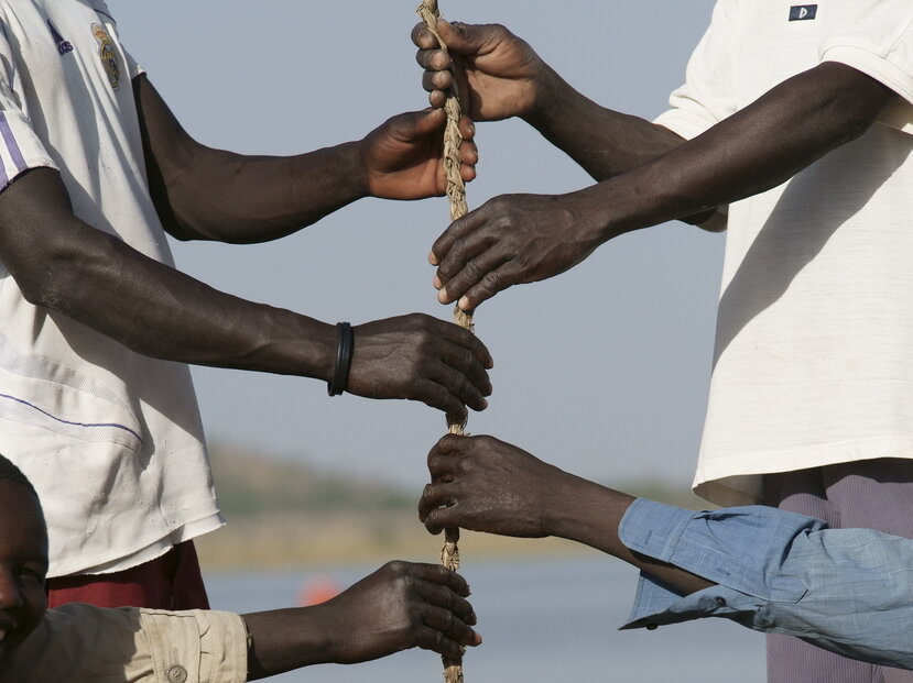 Photo: Six hands holding a rope hanging down vertically.