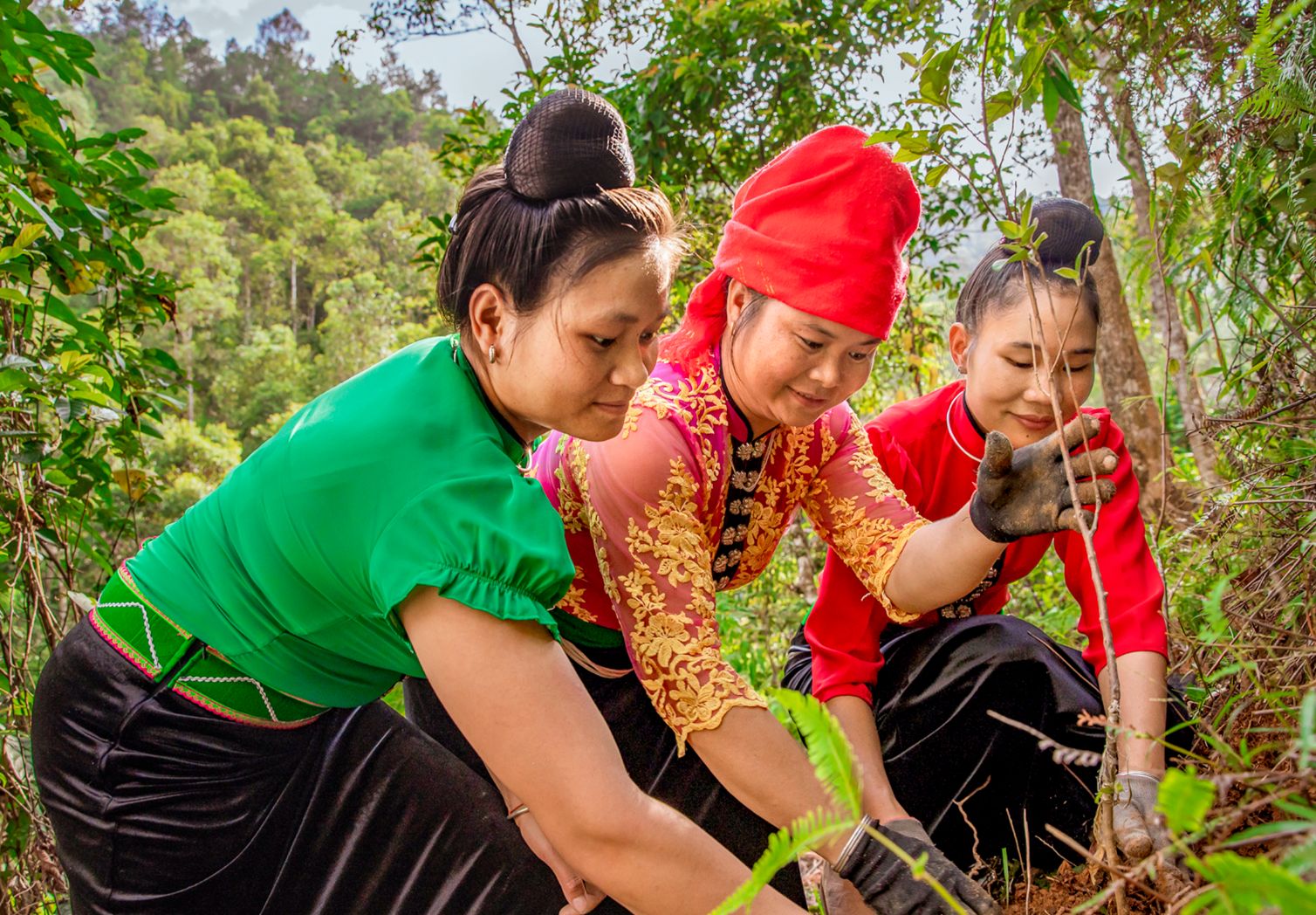 Photo: Three women planting a young tree.