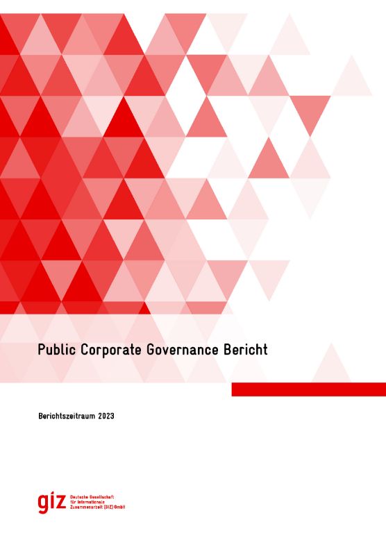 Title page: GIZ report ‘Public Corporate Governance’