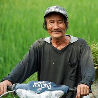 Photo: A farmer on a moped, transporting sacks containing freshly harvested rice plants on a trailer.