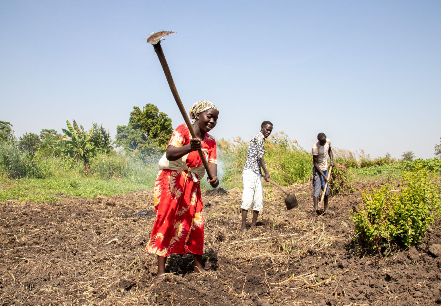 Photo: Two men and a woman working in a field.