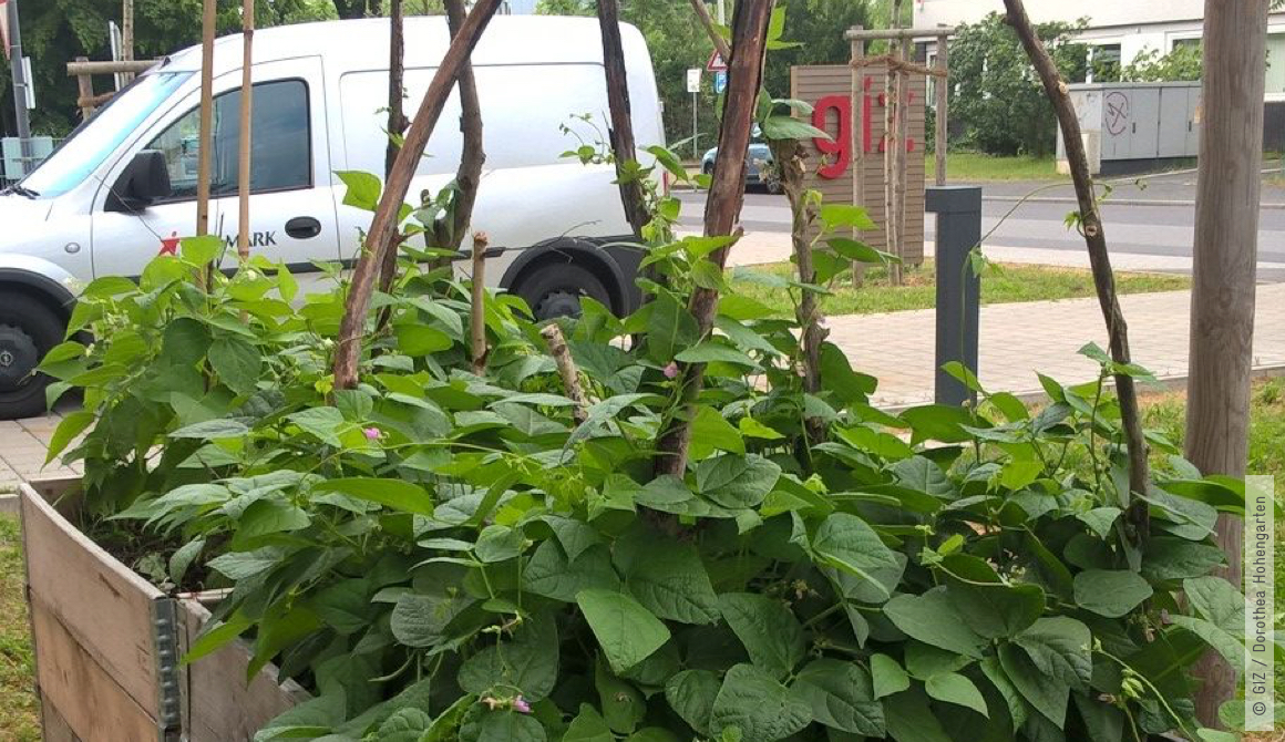 content_nachhaltigkeit_engagement_mäandergarten